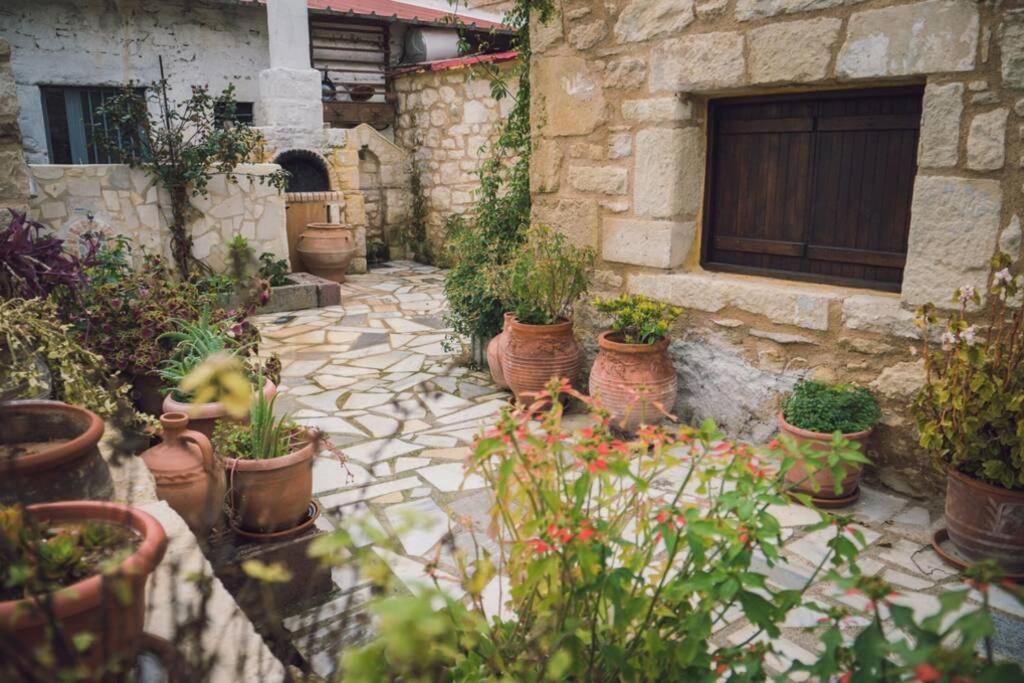 The Royal Stonehouse : Sophia Villa Vasiliki  Ngoại thất bức ảnh